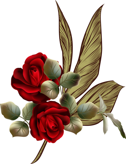 Transparent Garden Roses Rose Flower Cut Flowers for Valentines Day