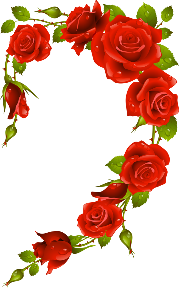Transparent Rose Picture Frames Heart Petal Flower for Valentines Day