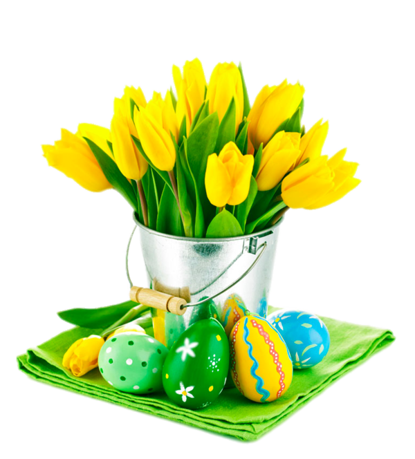 Transparent Tulip Flower Yellow Plant for Easter