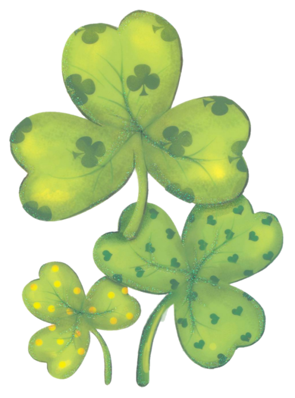 Transparent Saint Patrick S Day Shamrock Flower Plant for St Patricks Day