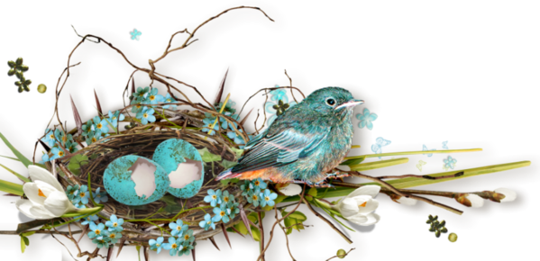 Transparent Easter Bird Holiday Feather Bird Nest for Easter