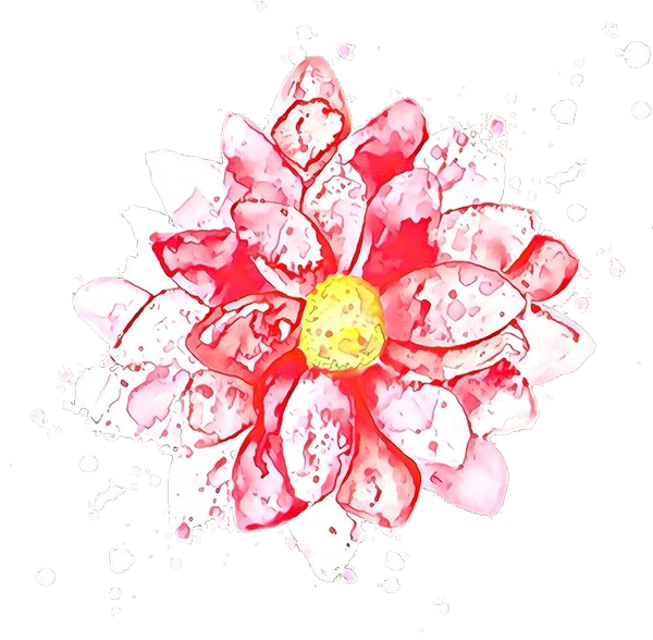 Transparent Floral Design Petal Flower Bouquet Red Pink for Valentines Day