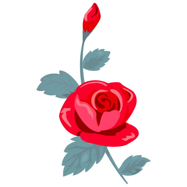 Transparent Garden Roses Rose Floral Design Flower Red for Valentines Day