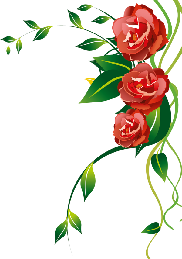 Transparent Floral Design Flower Wreath Garden Roses Petal for Valentines Day