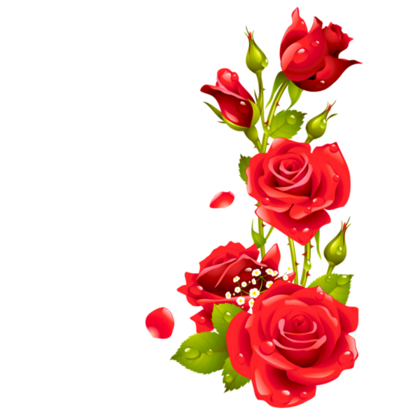 Transparent Floral Design Rose Picture Frames Petal Plant for Valentines Day