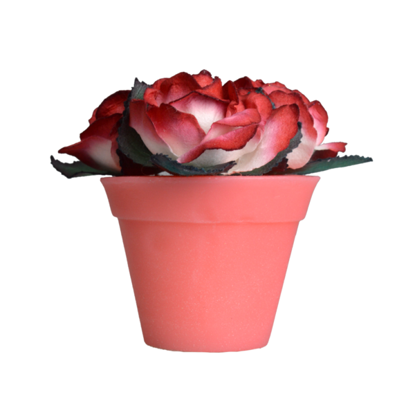 Transparent Garden Roses Flowerpot Soap Petal Plant for Valentines Day