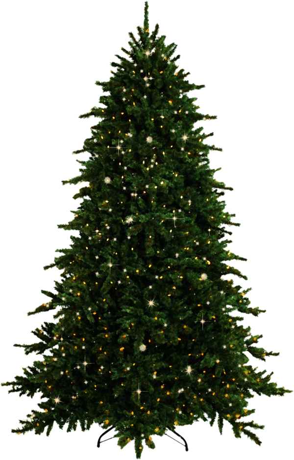 Transparent Christmas Tree Tree Christmas Fir Evergreen for Christmas