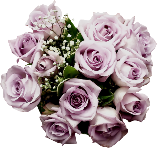 Transparent Flower Bouquet Rose Purple Flower for Valentines Day