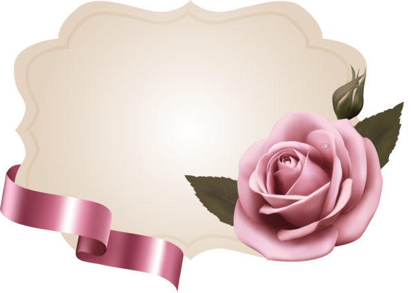 Transparent Garden Roses Pink Paper Flower for Valentines Day