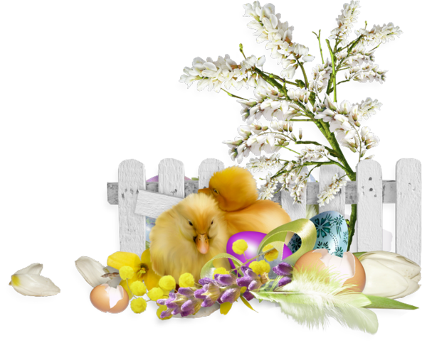 Transparent Chicken Easter Animation Flower Still Life for Easter