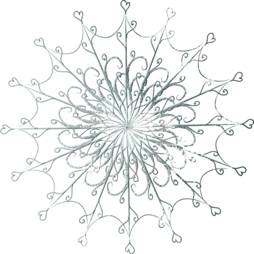 Transparent Snowflake Albom Line Art Plant for Christmas