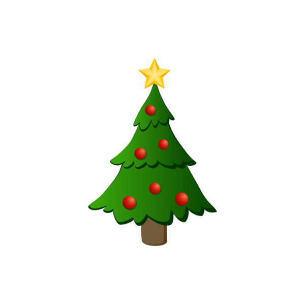 Transparent Christmas Tree Fraser Fir Santa Claus Fir Pine Family for Christmas