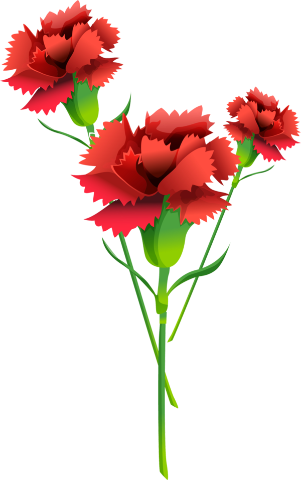 Transparent Defender Of The Fatherland Day Holiday 23 February Plant Flower for Valentines Day