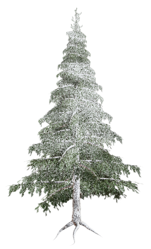 Transparent Spruce Christmas Ornament Christmas Tree Tree for Christmas
