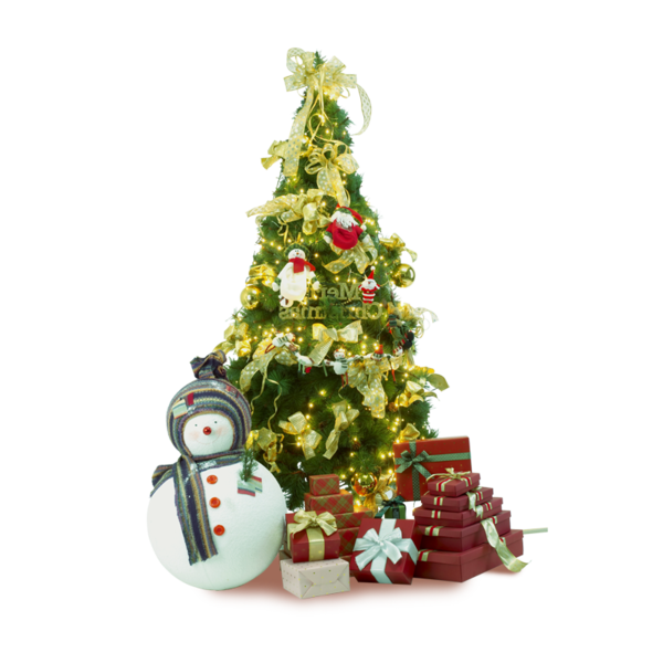 Transparent Christmas Santa Claus Christmas Tree Fir Evergreen for Christmas