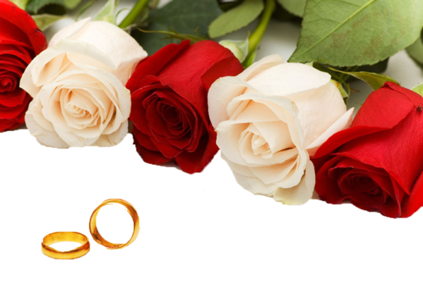 Transparent Rose Wedding Wedding Ring Petal Plant for Valentines Day