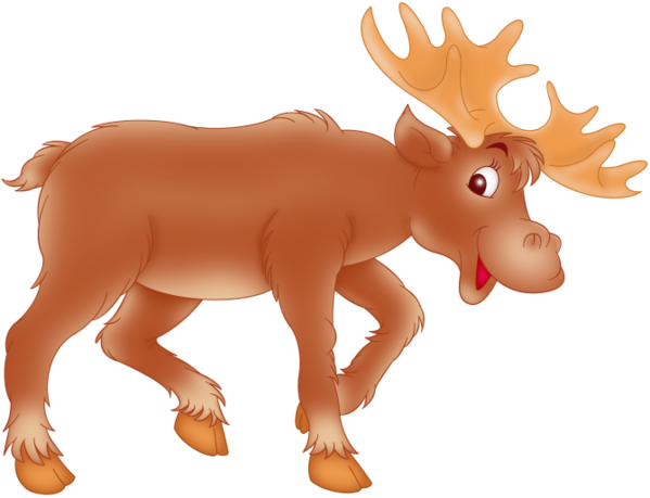 Transparent Moose Deer Elk Orange for Christmas