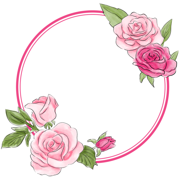 Transparent Garden Roses Tshirt Bride Flower Pink for Valentines Day