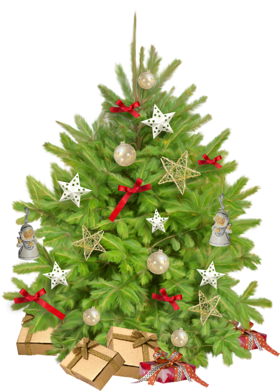 Transparent New Year Tree Tree Spruce Evergreen Fir for Christmas