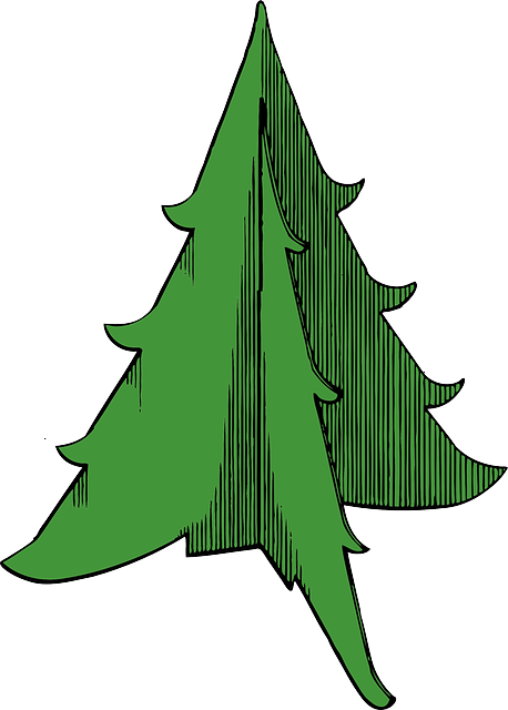 Transparent Clip Art Christmas Tree Christmas Tree for Christmas