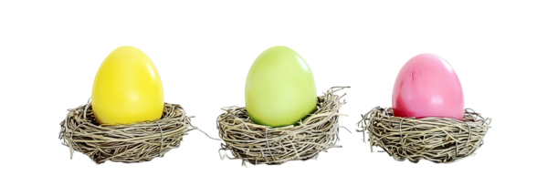 Transparent Bird Nest Food Easter Egg for Easter