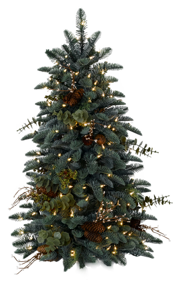 Transparent Balsam Hill Artificial Christmas Tree Christmas Tree Fir Pine Family for Christmas