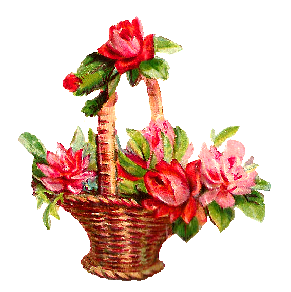 Transparent Flower Basket Pink Plant for Valentines Day