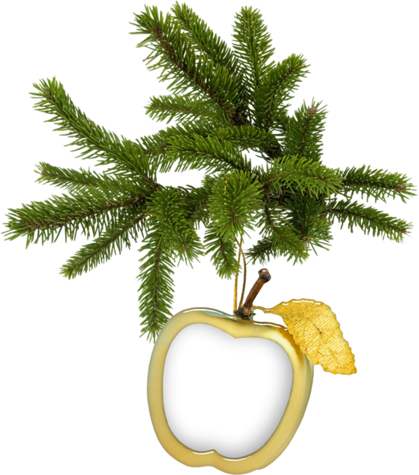 Transparent Fir Christmas Tree Spruce Tree Christmas Ornament for Christmas