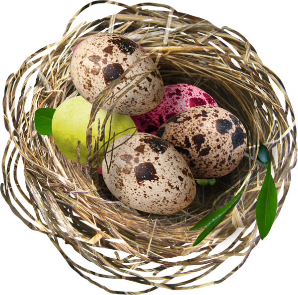 Transparent Bird Egg Nest Gift Basket for Easter