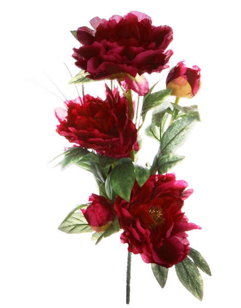 Transparent Garden Roses Peony Cut Flowers Flower for Valentines Day