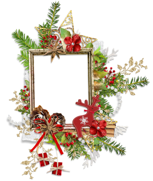 Transparent Picture Frames Christmas Scrapbooking Evergreen Fir for Christmas