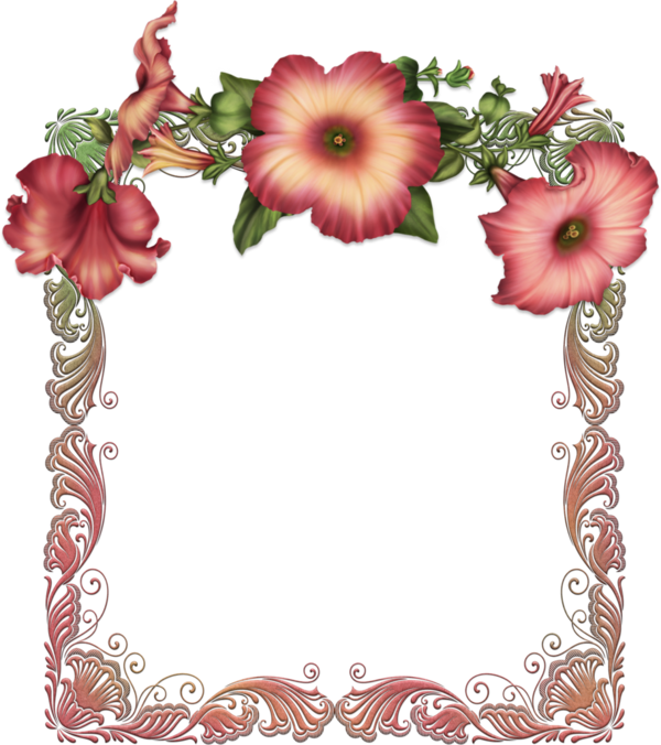 Transparent Picture Frames Flower Red Picture Frame Plant for Valentines Day