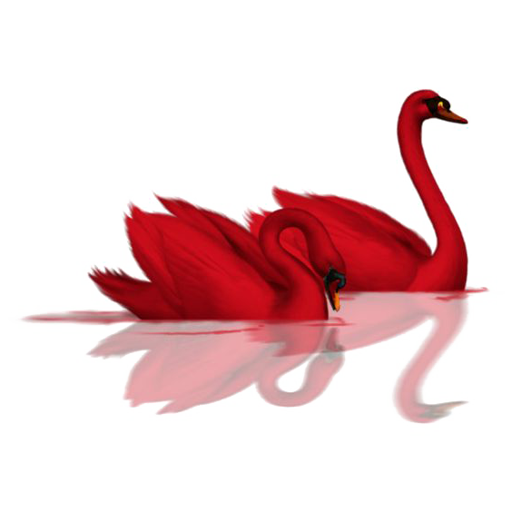 Transparent Cygnini Bird Red Flower Water Bird for Valentines Day