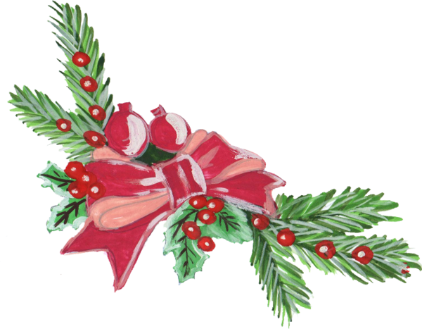 Transparent Christmas Christmas Ornament Christmas Decoration Fir Pine Family for Christmas