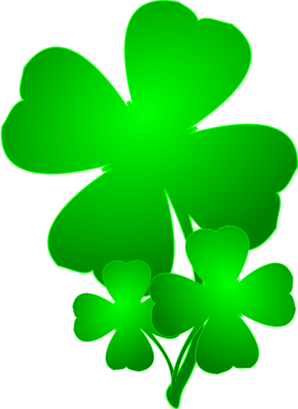 Transparent Saint Patrick S Day Shamrock Fourleaf Clover Plant Flower for St Patricks Day