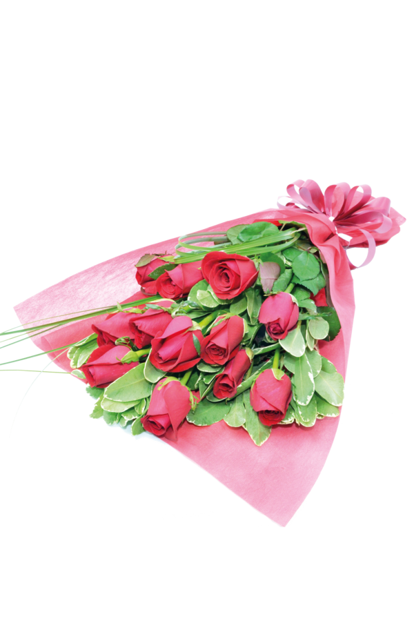 Transparent Flower Bouquet Flower Rose Pink Plant for Valentines Day