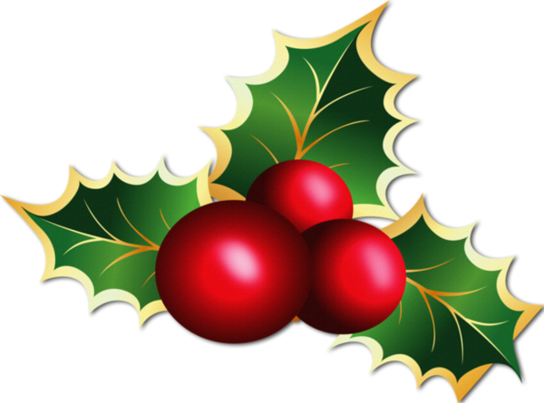 Transparent Mistletoe Christmas Mistletoe Christmas Natural Foods Aquifoliaceae for Christmas