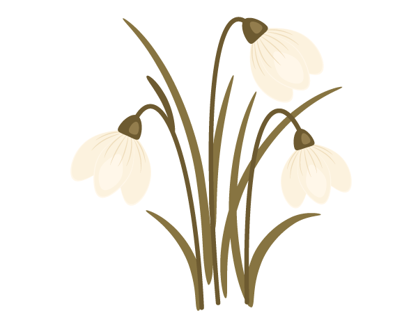 Transparent Spring Drawing Text Flower Snowdrop for Easter