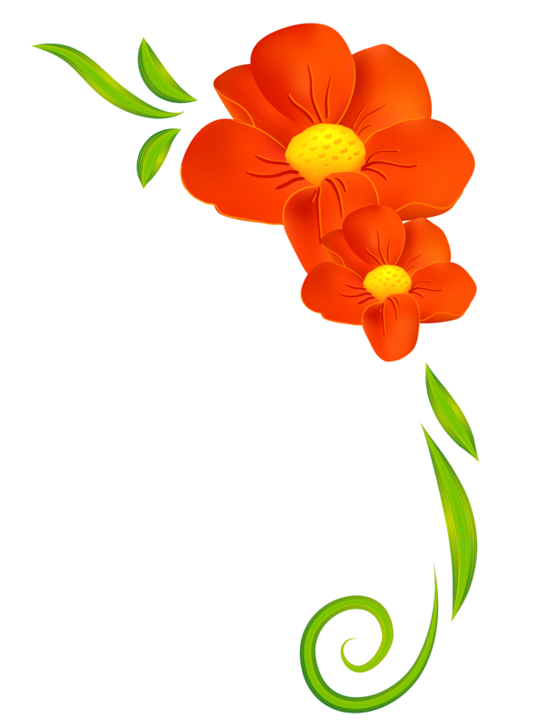 Transparent Flower Orange Orange Blossom Plant Flora for Valentines Day