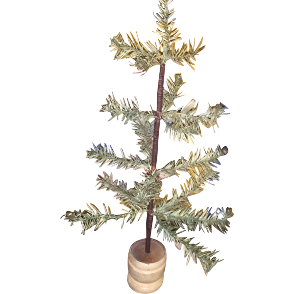 Transparent Spruce Fir Christmas Decoration Pine Family for Christmas