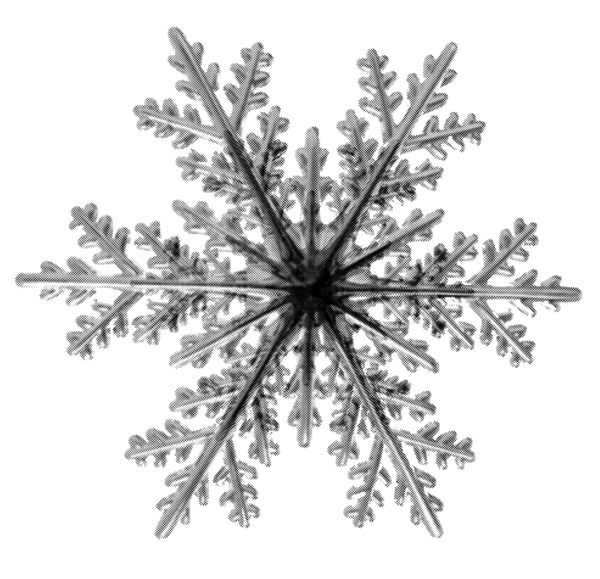 Transparent Snowflake Snow Child Black And White Tree for Christmas
