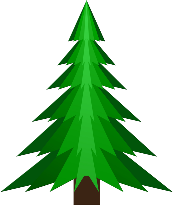 Transparent Tree Pine Christmas Tree Fir Pine Family for Christmas