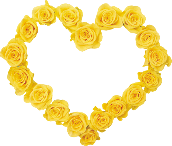 Transparent Rose Yellow Flower Petal Heart for Valentines Day