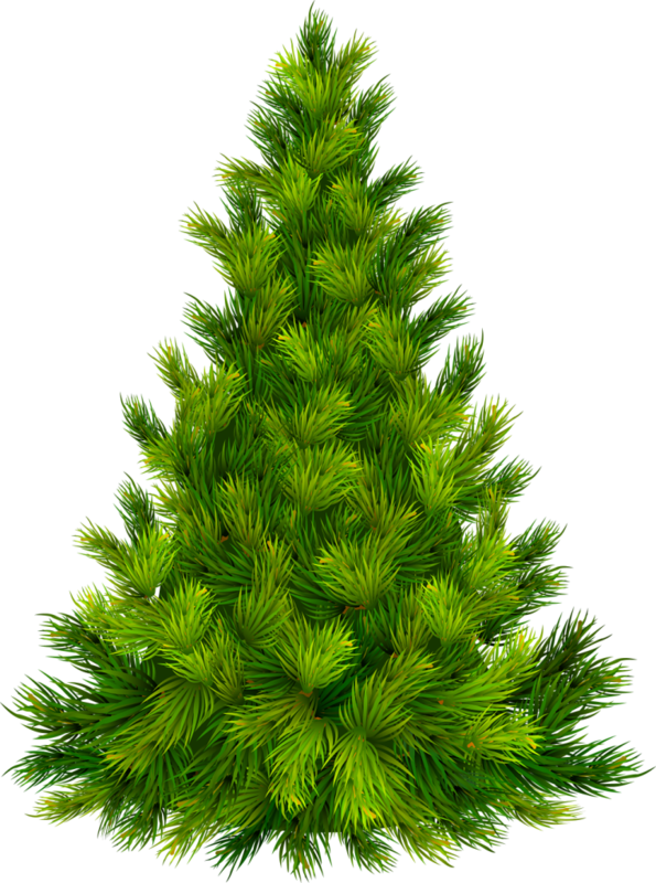 Transparent Christmas Tree Christmas Ornament Christmas Evergreen Pine Family for Christmas