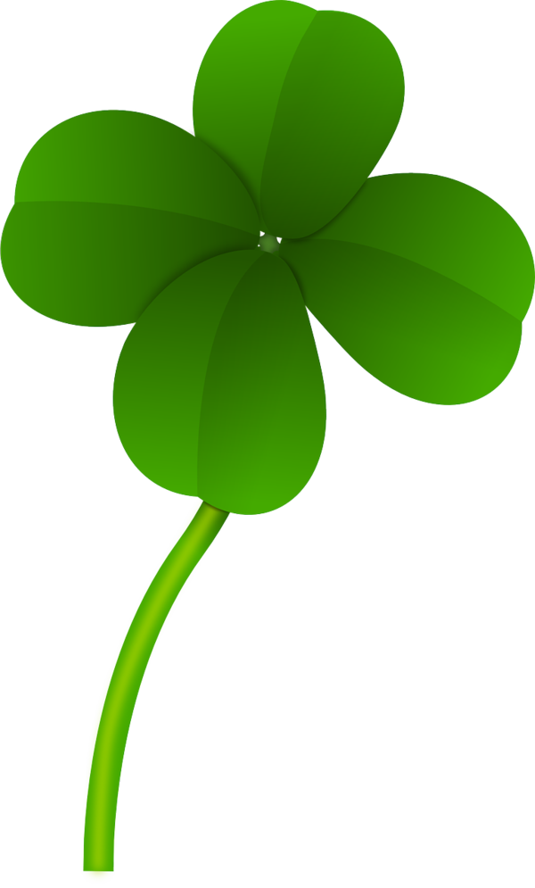 Transparent Fourleaf Clover Clover Shamrock Plant Flora for St Patricks Day