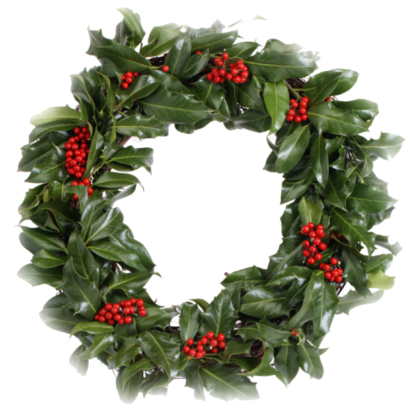 Transparent Wreath Christmas Holiday Evergreen Christmas Decoration for Christmas