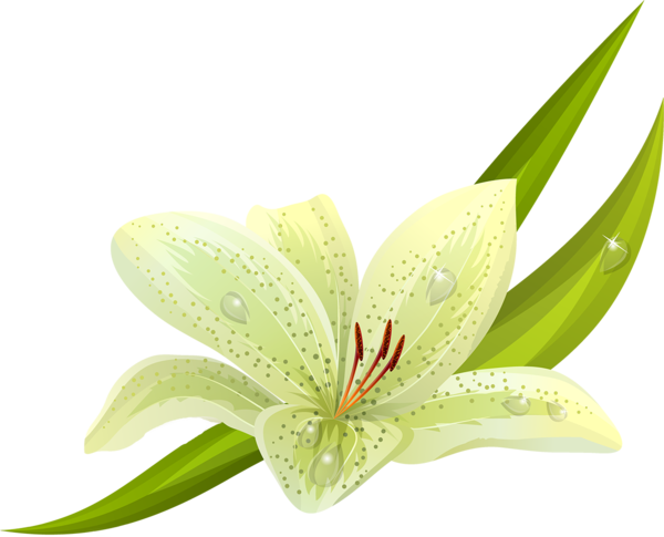 Transparent Easter Lily Flower Tiger Lily Plant for Easter