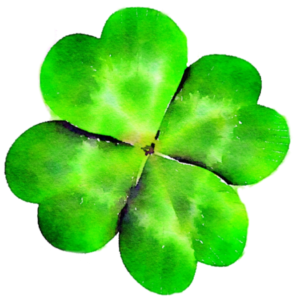 Transparent Fourleaf Clover Clover Shamrock Leaf for St Patricks Day