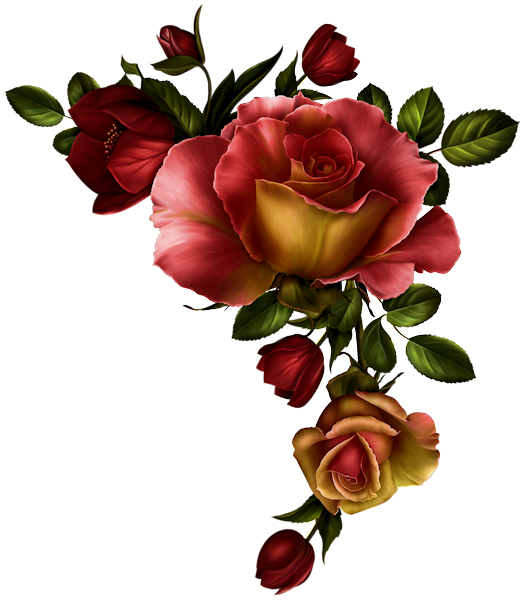 Transparent Purple Rose Flower Garden Roses for Valentines Day