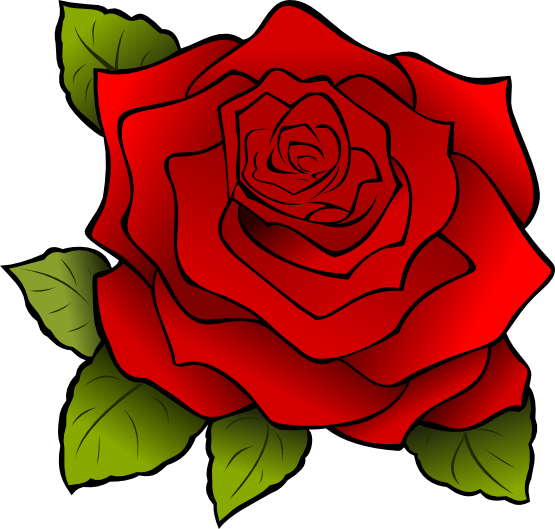 Transparent Rose Blue Rose Drawing Floribunda Garden Roses for Valentines Day